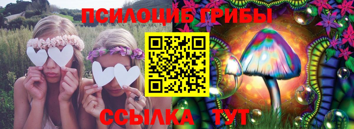 Жигулёвск  где купить наркотик  Вход с VPN  Псилоцибиновые грибы Psilocybine cubensis 